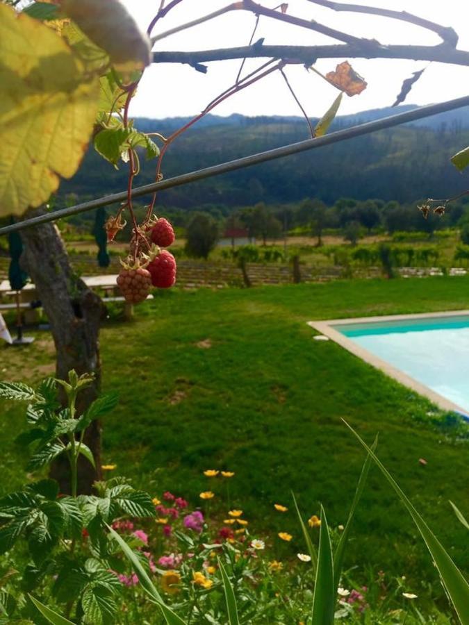 Вілла Quinta Da Aranha Аркуш-де-Валдевеш Екстер'єр фото
